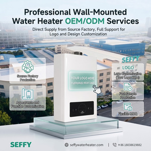 Calentador de Agua Instantáneo a <span class=keywords><strong>Gas</strong></span> LPG de 12L, Económico, para África, Medio Oriente y Sudamérica, Calentamiento Rápido, Montaje en Pared, con Descuento - Product Image 5