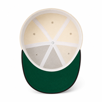 Casquette de baseball vintage personnalisée avec logo, en coton, broderie 3D en relief, visière plate, snapback unisexe, style hip-hop, sportive, motif léopard, pour les sports de plein air