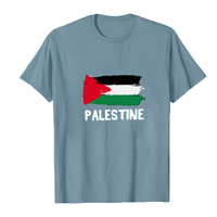 Tshirt Palestina pour homme Produits de Palestine T-shirt Palestine gratuit T Shirt palestinien