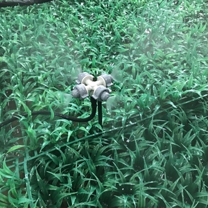Vườn Mist Sprinkler <span class=keywords><strong>Fogger</strong></span> phun Bốn cửa hàng Mist vòi phun cho nhà kính hệ thống thủy lợi - Product Image 2