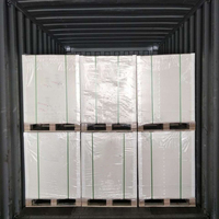 Papier Bristol américain C1s, carton blanc, carton ivoire, en paquet en vrac, en rame, en bobine