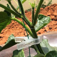 Parfait pour tenir sur des pointes d'orchidées, des pimentes, des tomates ou des bougainvillées, des vignes, des clips de support
