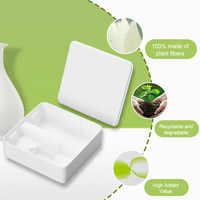 Boîte d'emballage en pulpe moulée biodégradable en gros pour lunettes intelligentes IA et verre trempé mobile – Emballage en pulpe moulée