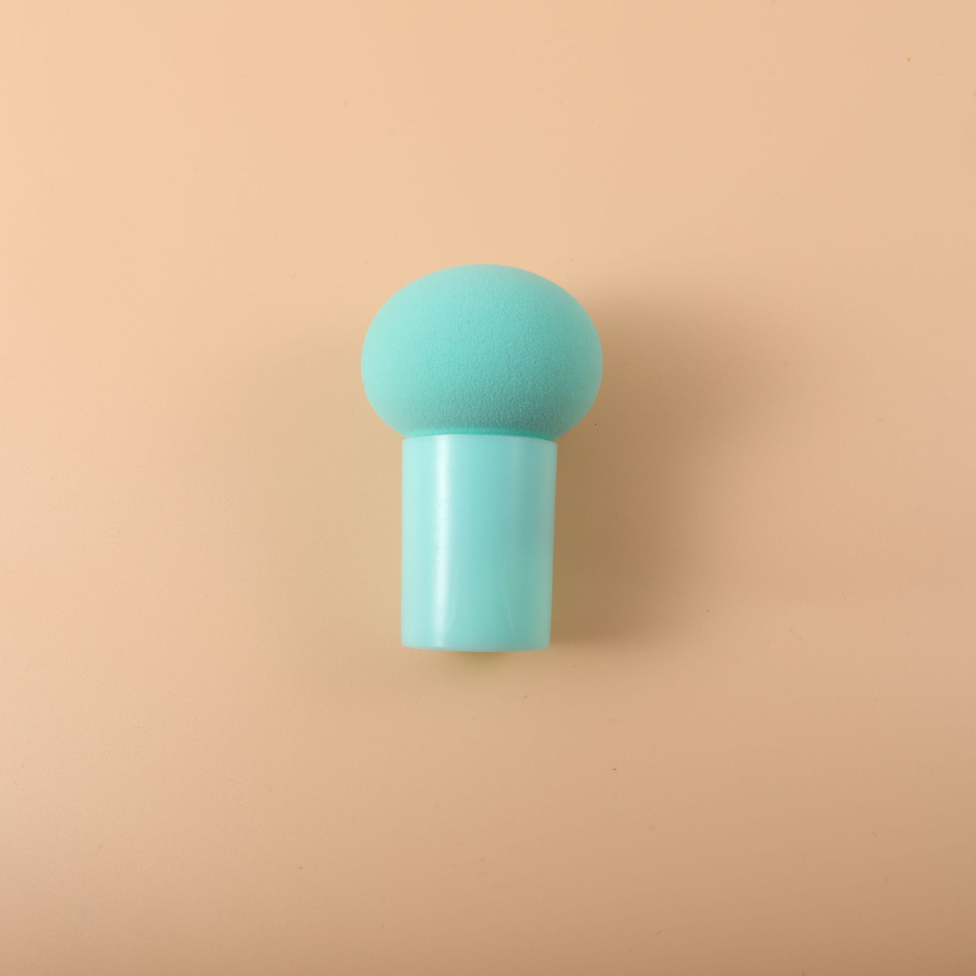 1 tête de champignon bleu-vert