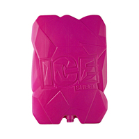 Blocs de glace multifonctionnels en HDPE, couleur et taille personnalisables, qualité alimentaire, idéaux pour la pêche, le barbecue, les pique-niques et la cryothérapie