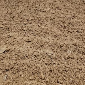 Vermicompost de meilleure qualité pour l'agriculture Compost de vers de terre de haute qualité Vente en gros d'engrais organique sur mesure Services OEM - Product Image 1