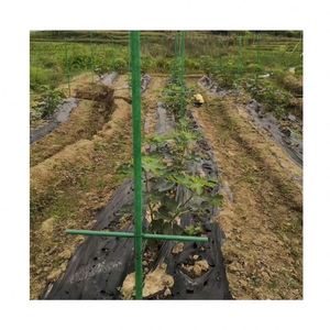 Frp Pultruded Profile GRE/FRP tube/tuyau en vente - Product Image 5