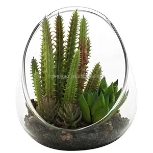 Угловая прозрачная стеклянная террариумная ваза для небольших искусственных кактусов