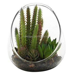 <span class=keywords><strong>Vaso</strong></span> Terrario in Vetro Trasparente Inclinato <span class=keywords><strong>per</strong></span> Piccole Piante di <span class=keywords><strong>Cactus</strong></span> Artificiali - Product Image 1