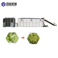 Séchoir à bande maillée pour chips de manioc, chips de pommes de terre, choux, fruits, gingembre et riz, pour l'assurance qualité