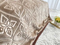Peluche royale unie et souple personnalisée de grande classe bon marché couverture raschel coréenne en relief à 2 plis