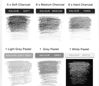 KALOUR – Lot de 24 crayons de fusain noirs, gris et blancs, moyennement doux et durs, pour le dessin et la peinture