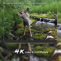 Caméra de chasse infrarouge extérieure WiFi 900Pro avec véritable résolution 4K 36MP, application WiFi pour contrôle à distance et enregistrement en temps réel
