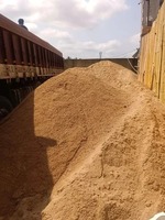 Sable de rivière de qualité supérieure Macro Global en provenance de Delhi, prix en vrac