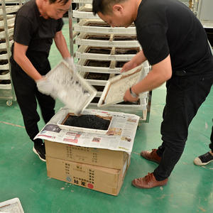 Pompe à chaleur électrique industrielle séchoir à fruits déshydrateur alimentaire pour machine à sécher les baies bleues déshydrateur de pruneaux - Product Image 6