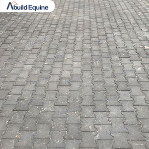 말을위한 높은 안전 연동 개 뼈 고무 바닥 포장기 - Product Image 6