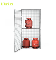 Gabinetes de Almacenamiento para Cilindros de Gas Galvanizados para Exteriores, Directo de Fábrica, con Jaulas de Seguridad y Modelado 3D, Soluciones de Gabinetes Personalizadas