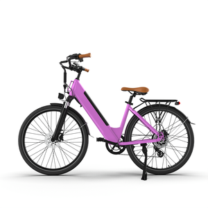 Eco-Friendly 500W 48V 10.4AH Brushless Rear <b>Hub</b> Motor 7-Speed Front Suspension Dual Disc Brakes 90-100KM - Product Image 6