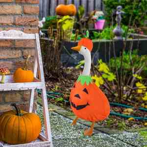 Déguisement de citrouille mignon pour oies en ciment, tenue d'extérieur pour décoration d'Halloween - Product Image 4