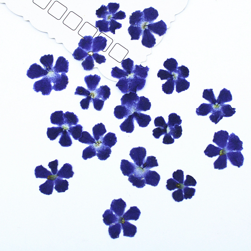 Bleu foncé