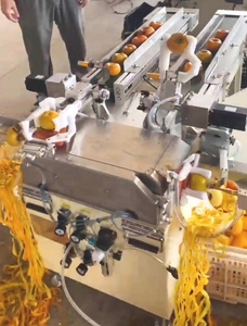 เครื่องปอกเปลือกผลไม้แบบสองสถานี ป้อนผลไม้อัตโนมัติ เครื่องปอกเปลือกผลไม้ไฟฟ้า - Product Image 4