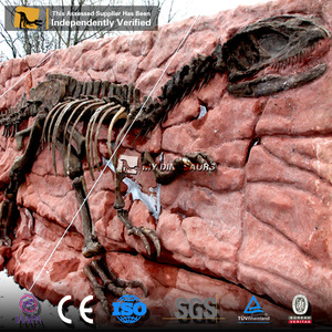 Muro fósil de dinosaurio Artificial de tamaño natural de alta calidad My Dino para equipo de <span class=keywords><strong>parque</strong></span> temático - Product Image 5