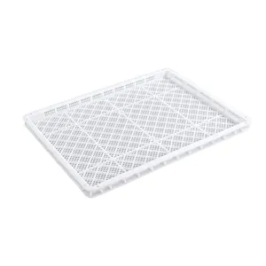 BYPC - Gummies Plants Fruits Soaps Seafood & Herbs Best Quality Product Food Grade Plastic Drying Tray