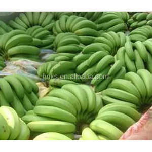 Máquina Peladora Automática <span class=keywords><strong>de</strong></span> Plátanos Verdes Frescos para Uso Doméstico y en Restaurantes, Máquina Peladora <span class=keywords><strong>de</strong></span> Plátanos Verdes Frescos - Product Image 2