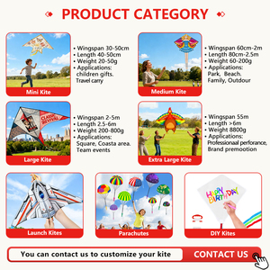 Trung Quốc bán buôn Hot Bán tùy chỉnh trẻ em ngoài trời thể thao đồ chơi 3D EAGLE Phoenix BAT bướm phim hoạt hình động vật lớn bay diều - Product Image 2