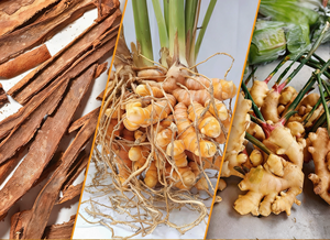 Натуральный органический имбирный чай без сахара и глютена, премиум-класса, с куркумой, имбирем и корицей, в пакетиках. - Product Image 5