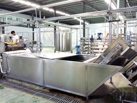 Anxu Mango Sinaasappelpers Type Motor Kerncomponent 75kw 2000KG voor Fruit- en Groenteverwerkingsbedrijf Vruchtensapvulmachine