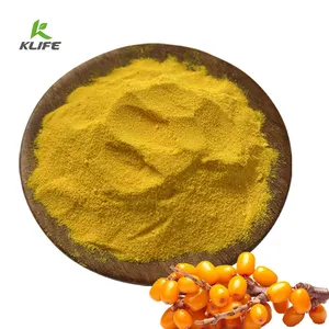 Extract Fruit Powder Wholesale Bulk Organic Sea Buckthorn Extract Seabuckthorn Fruit Juice Powder