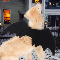 Costume d'Halloween classique et amusant pour animaux de compagnie : Ailes de chauve-souris noires mignonnes pour chiots et chats, accessoires de déguisement pour fêtes et cosplay