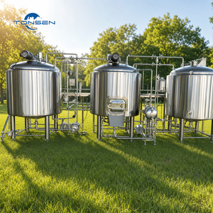 Equipo de fermentación de 1000L, Equipo de microcervecería eléctrica, Artesanal, cerámica, macereración, sistema de microcervecería, cónico - Product Image 5