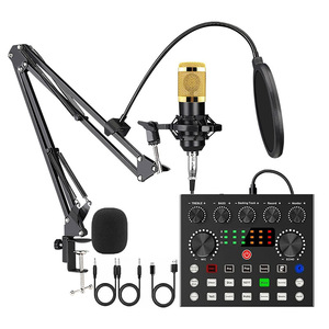 V8s Chuyên Nghiệp Card Âm Thanh Kép Microphone Thiết Bị Ghi Âm Toàn Bộ Cho Phát Sóng Trực Tiếp Máy Tính Di Động Tiếng Anh Âm Thanh Cho - Product Image 4
