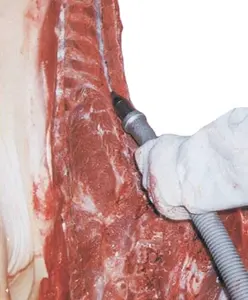 Nhà Máy Chế Biến Thịt Với Lợn Abattoir Máy Móc Giết Mổ Dây Chuyền Sản Xuất