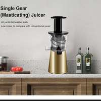Kleine huishoudelijke slowjuicer met één versnelling, roestvrijstalen mes, automatische elektrische omkeerfunctie voor fruit en groenten