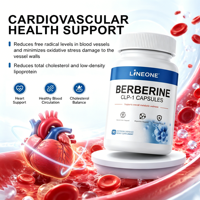Capsules de berbérine à base d'extrait naturel, favorisent la santé digestive et intestinale, aident à améliorer la microbiote intestinale, complément alimentaire