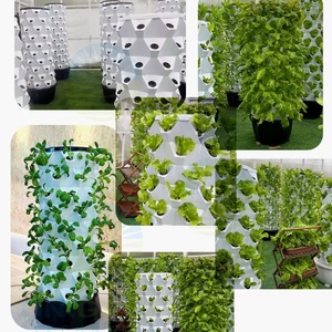 Torre da Giardino Verticale con Ruote a 12 Livelli e Serbatoio da 65L, Sistemi di Giardinaggio Verticale Idroponico <span class=keywords><strong>per</strong></span> la Coltivazione di Ortaggi e Piante - Product Image 2