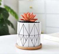 Pot en céramique Pot à succulentes Grand pot de fleurs géométrique de 3,5 pouces