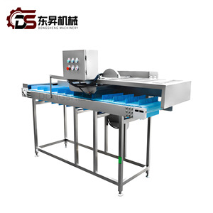 Máquina Industrial de Doble Extremo <span class=keywords><strong>para</strong></span> Cortar Raíces, Cebollín, Espárragos, Apio, Cebollín, Espinacas, Lechuga <span class=keywords><strong>para</strong></span> Plantas de Procesamiento de Vegetales - Product Image 6