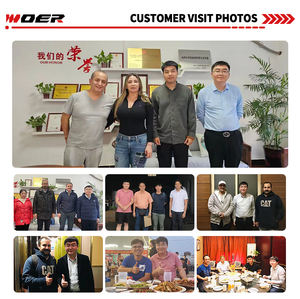 รถตักล้อยางขนาดเล็ก Woer-910 เครื่องยนต์ดีเซล ขับเคลื่อน 4 ล้อ แบบประกบ ขนาดกะทัดรัด สำหรับงานฟาร์ม สวน และป่าไม้ พร้อมอุปกรณ์เสริม ขายจากจีน - Product Image 2