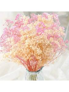 Ramo de Flores Secas de Gypsophila - 16 Pulgadas, 2800+ Flores Secas Blancas y Rosas, Ramas Naturales de Gypsophila para Bodas, <span class=keywords><strong>Jarrones</strong></span> de Mesa - Product Image 1