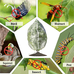 Filet de protection pour arbres fruitiers et plantes de <span class=keywords><strong>jardin</strong></span>, barrière anti-insectes et oiseaux, pour tomates et myrtilles - Product Image 5