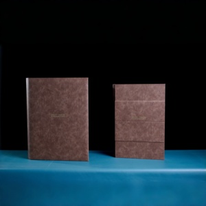 <span class=keywords><strong>Album</strong></span> <span class=keywords><strong>photo</strong></span> électronique intelligent avec écran HD IPS et connectivité sans fil pour usage personnel et professionnel - Product Image 2