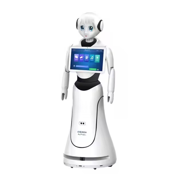 Alice Humanoid Assistant Intelligent Reception Robot Intelligent Commercial Reception Welcome Service Human Size Robot