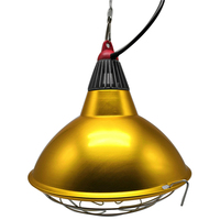Lampe chauffante infrarouge électrique moderne en aluminium pour animaux (volailles, porcs, chèvres) de style européen