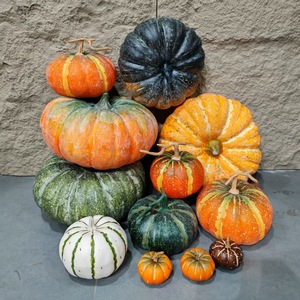 Modello di visualizzazione per fotografia di decorazione della finestra del centro commerciale di Halloween decorazione di frutta artificiale di zucca finta - Product Image 2