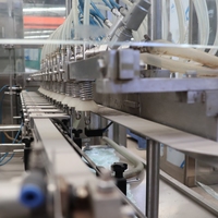 Machine de remplissage linéaire entièrement automatique d'occasion en acier inoxydable pour bouteilles, idéale pour l'huile comestible et les jus – Équipement de mise en bouteille quotidien