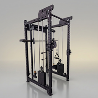 DINUO OEM ODM Machine Smith tout-en-un à double pile de poids, Power Cage, Appareil d'entraînement de force pour centre de fitness commercial, Vente en gros